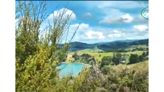 Waitawa Regional Park - Best Auckland Hidden Gem Attractions | Summer in New Zealand